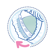 90x90 - GOLD - Barreras y piernas maxiprotect@2x.png